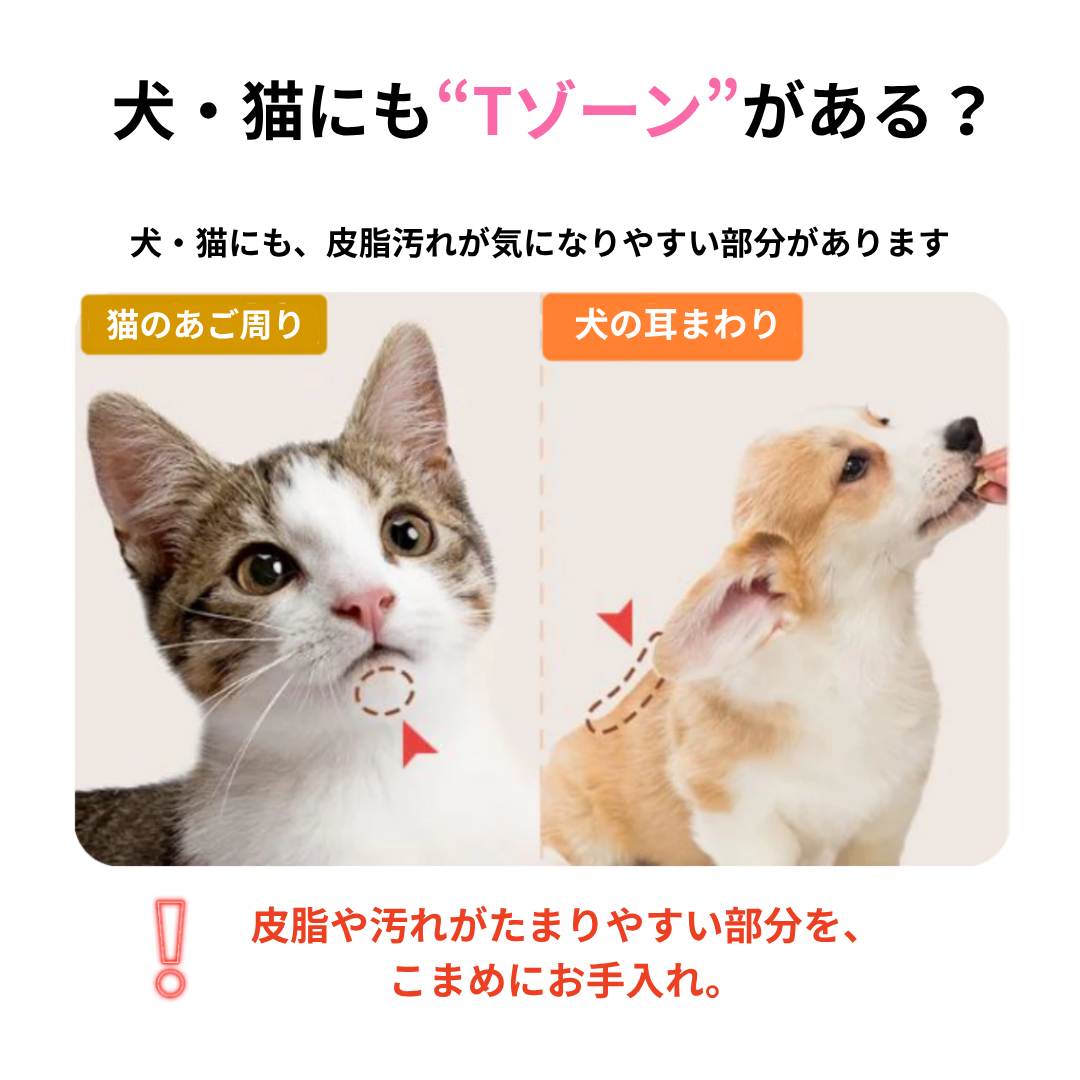 ジャングルモンスター ボドルッポプニャン スチームタオル｜犬・猫用 顔まわり・あごまわり お手入れタオル
