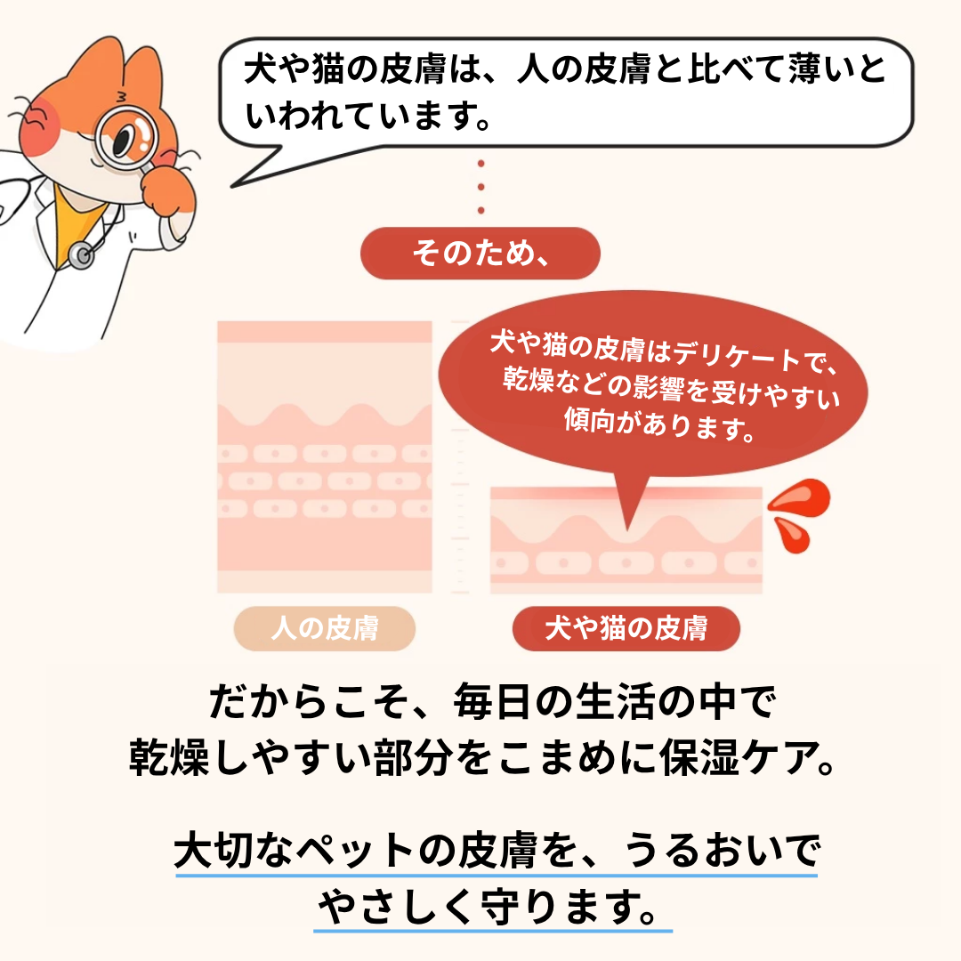ジャングルモンスター セラマイドッグ 50g｜犬用 肉球・皮膚用 保湿クリーム セラミドNP・ヒアルロン酸Na配合  です。