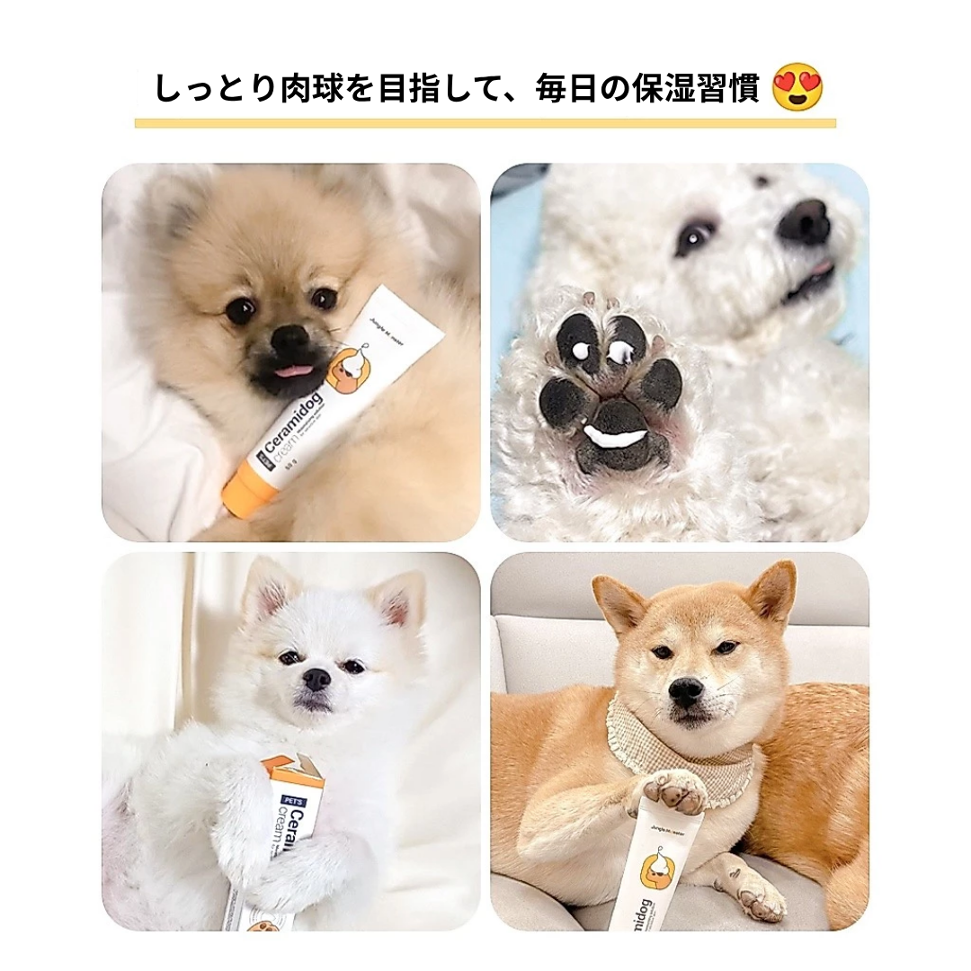ジャングルモンスター セラマイドッグ 50g｜犬用 肉球・皮膚用 保湿クリーム セラミドNP・ヒアルロン酸Na配合  です。